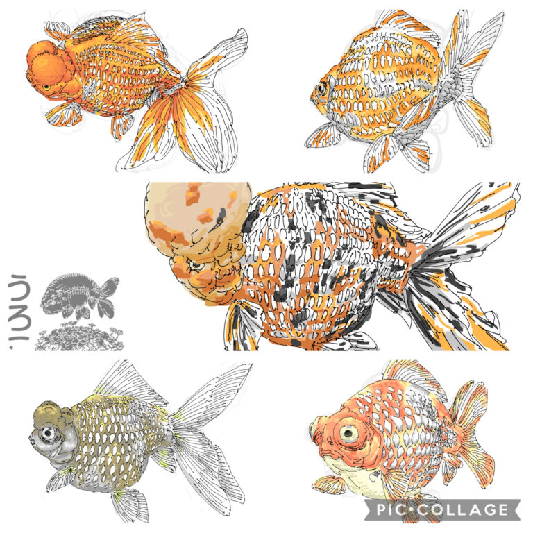 特徴的な輪郭が独創的！パールスケールを持つ品種5選