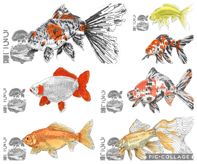 大きな体格に模様が映える！長物金魚6選